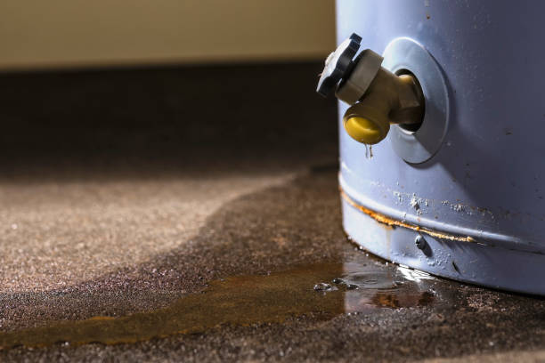 Best Sewage cleanup and water damage restoration  in North Massapequa, NY