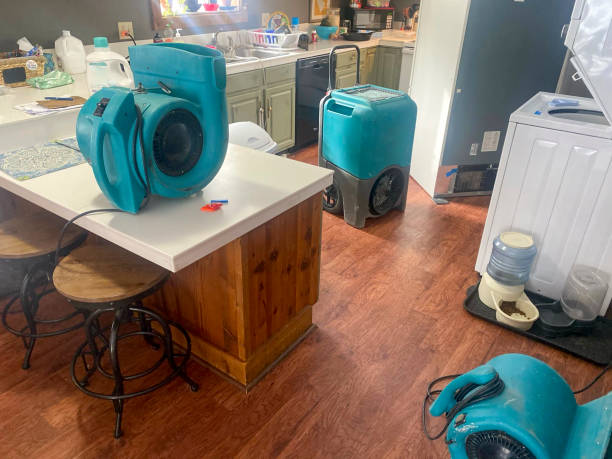 Best Mold removal after water damage  in North Massapequa, NY