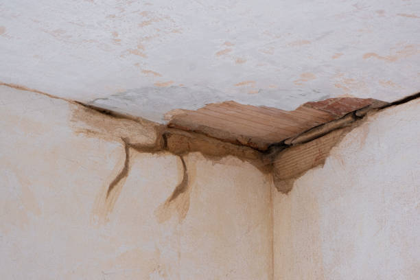 Water damage restoration experts in NY