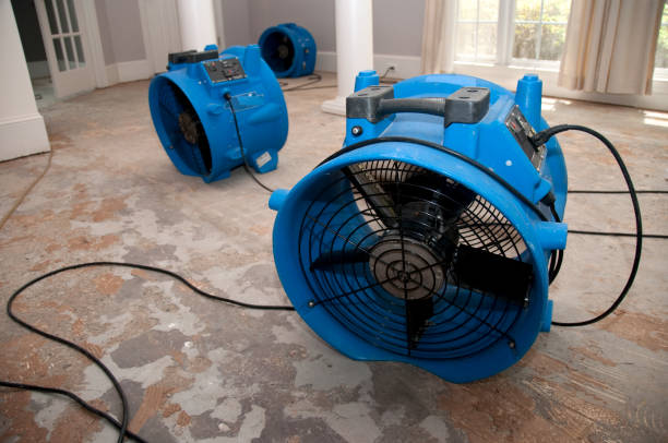  North Massapequa, NY Water damage restoration Pros