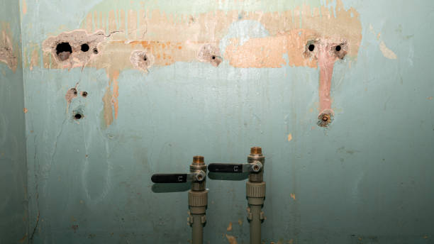Best Professional water damage repair  in North Massapequa, NY