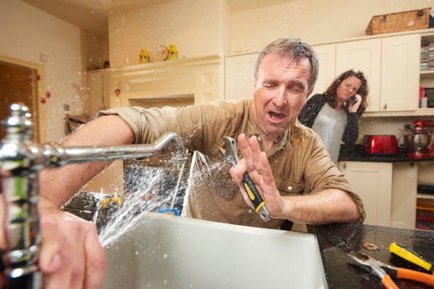 Best Flooded house restoration  in North Massapequa, NY